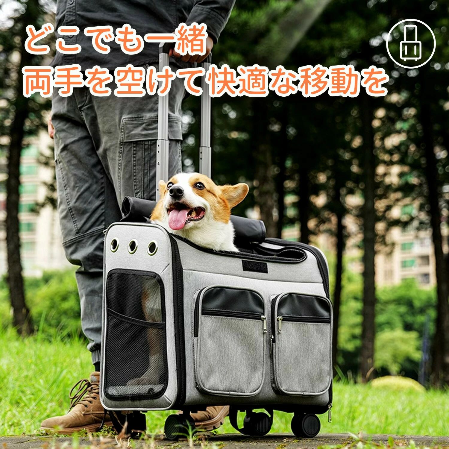 【動画あり】ペットキャリーバッグ 折りたたみ 大きめ リュック ペットキャリー バック ペットバッグ ..