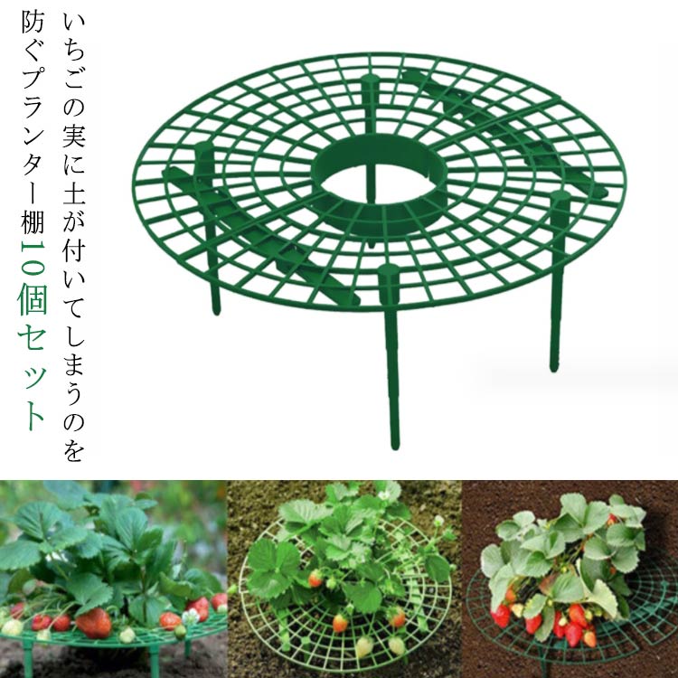 イチゴ棚 イチゴ プランター 棚 10個セット 高さ10cm 苗棚 苺苗棚 栽培棚 支え棚 園芸支柱 いちご 支え棚 イチゴ プランター棚 いちご支え 苺苗棚 支柱 園芸ラック 送料無料