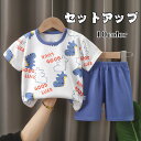 セットアップ プリント半袖Tシャツ 子供服 キッズ 男の子 トップス 半袖Tシャツおしゃれ 可愛い ベビー服 アヒル 猫 恐竜 トラ ストライプ 73cm 80...