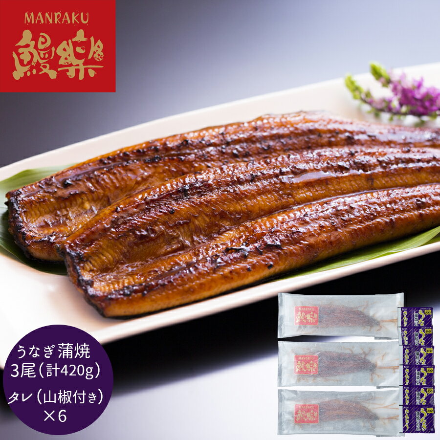 【 送料無料 】九州産　うなぎ蒲焼3尾 グルメ[ 出産祝い 結婚祝い 出産内祝い 結婚内祝い 内祝い お返し 出産 結婚 香典返し ギフトセット プレゼント ] プレゼント 御歳暮 お歳暮 歳暮のサムネイル