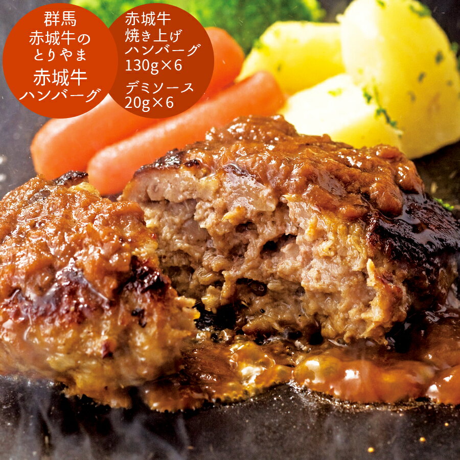 【 送料無料 】群馬 赤城牛のとりやま 赤城牛ハンバーグ グルメ プレゼント 御歳暮 お歳暮 歳暮 母の日