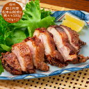 【GWおやすみごめんね クーポン配布 送料無料】 長野 信州 郷土料理 松本山賊焼き [鶏モモ お返し 香典返し ギフト ご当地グルメ 産地直送 贅沢ギフト 家...