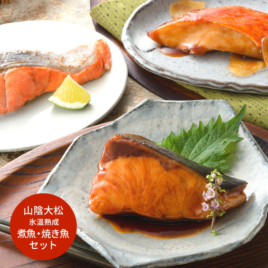 鳥取　「山陰大松」　氷温熟成　煮魚・焼き魚セット（10切） グルメ プレゼント 御歳暮 お歳暮 歳暮 母の日