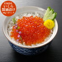 【GWおやすみごめんね クーポン配布 送料無料】 北海道産 いくら醤油漬け [ 出産祝い 結婚祝い 内祝い お返し 出産 結婚 香典返し ギフトセット プレゼン...