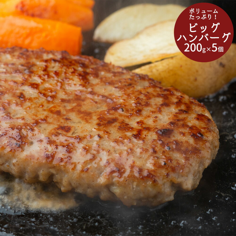 【お買い物マラソン開催 1/24 20時から】【送料無料】 ボリュームたっぷり！ ビッグハンバーグ[ 出産祝い 結婚祝い 内祝い 内祝い お返し 出産 結婚 香典返し ギフトセット プレゼント] 感謝の気持ち