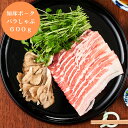 【お買い物マラソン 27日 AM10時まで】 北海道 知床 ポーク バラしゃぶ 600g 豚肉 肉 グルメ 食品 産地直送 国産 おいしい うまい [出産祝い ...