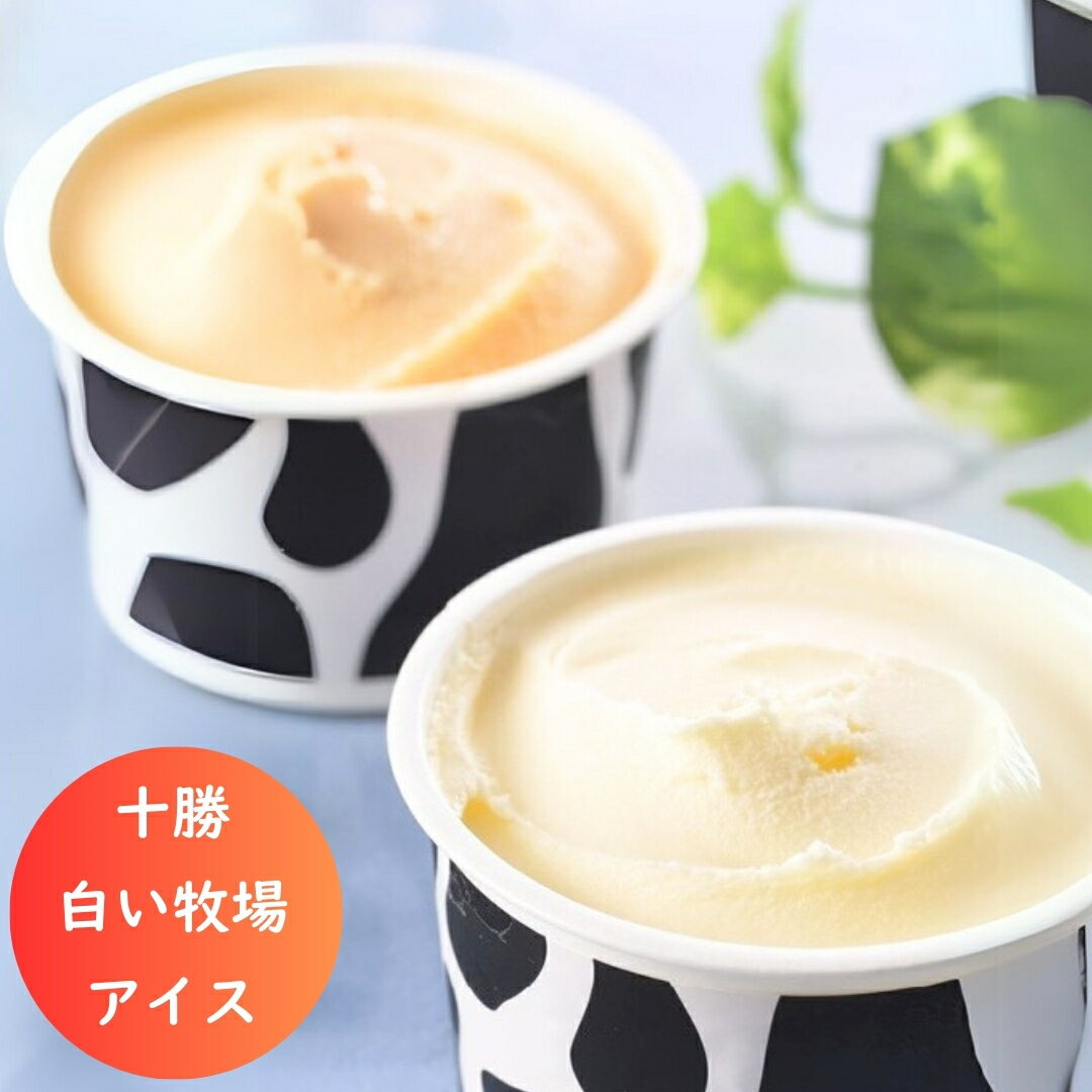【ただいまサマーギフト 店内大盛況】 北海道 十勝 白い牧場 アイスコレクション 11個セット TSBAC-11 アイスクリーム ギフト 贈り物 グルメ 食品 産地直送 [出産祝い 結婚祝い 内祝い お返し 香典返し ギフトセット プレゼント 敬老の日 お中元 夏ギフト 贈り物]