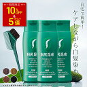 【スーパーSALE限定 10%OFF & P5倍】白髪用 利尻ヘアカラートリートメント 200g×3本セット【毛染めブラシ(馬毛緑)付き】 ノンシリコン ノンジアミン 無添加 ヘアカラー 白髪染め 部分染め 全体染め 白髪カバー 色落ち 防止 白髪 男性用 女性用 簡単 サスティ