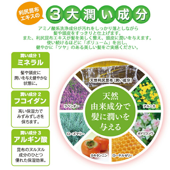 利尻コンディショナーお徳用600ml 天然利尻昆布エキスたっぷり配合 家族で使えるお徳用 フケ・かゆみなどの様々な髪トラブルでお悩みの方 無添加 利尻昆布コンディショナー サスティ ピュール