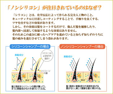 タナカ プレミアムシャンプー&コンディショナーセットイランイランの高貴な香り無添加 ノンシリコーン・美髪成分たっぷり配合でハリ・艶アップ!美容成分をしっかり!【送料無料】【あす楽対応】【サスティ】