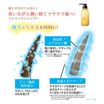 リシリッチシャンプー＆コンディショナーセット利尻ヘアクリーム・利尻ヘアミストのリシリッチシリーズより登場！5種類のオーガニックオイル配合※保湿成分【リシリッチ】【あす楽対応】【サスティ】