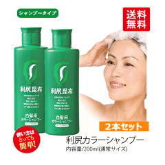 https://thumbnail.image.rakuten.co.jp/@0_mall/blondie-blond/cabinet/rishiricolor-shampoo/3702s.jpg