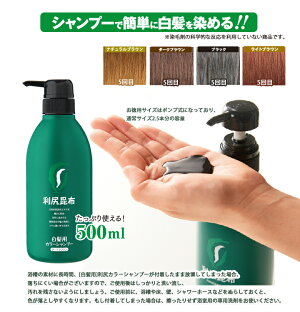 無添加お徳用サイズ利尻カラーシャンプーシャンプーで白髪染め!27種類の植物エキスで髪・頭皮に優しい!利尻昆布エキス!使い続けるほどに染まる!【HLS_DU】