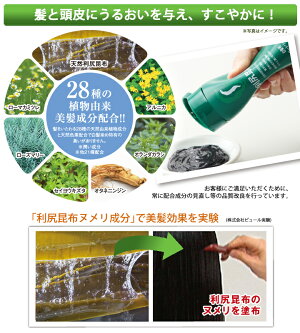 【期間限定・送料無料】利尻ヘアカラートリートメント白髪染め&毛染めブラシ(オレンジ)付セット無添加の白髪染め利尻昆布白髪染め!利尻昆布エキスで髪を傷めない!【送料無料】【あす楽未対応】【男女兼用】【白髪染めメンズ】【サスティ】【ピュール】