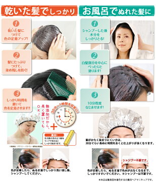 利尻ヘアカラートリートメント2本セット！無添加！【毛染めブラシ＋専用キャップ付】利尻昆布エキス配合！白髪染め！自然派clubサスティ公認ショップ【送料無料】【あす楽未対応】