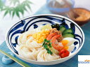 美濃焼 単売 ギフト対象外 藍彩唐草うどん皿【径21x高5cm】【Bowl,noodle,made in japan】【bloom-plus】