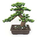 【工芸盆栽】長角　10号 【Bonsai of imitation】【Bonsai of artificial】