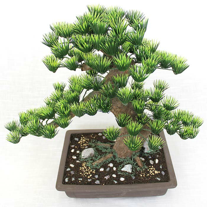 �ڹ����ߺϡ�Ĺ�ѡ�10�� ��Bonsai of imitation�ۡ�Bonsai of artificial��