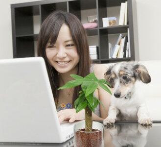 ネオコール植えミニ観葉植物(ガラス容器)3鉢セット【種類も色もよりどり選べる福袋Aセット】「ハイドロカルチャー」
