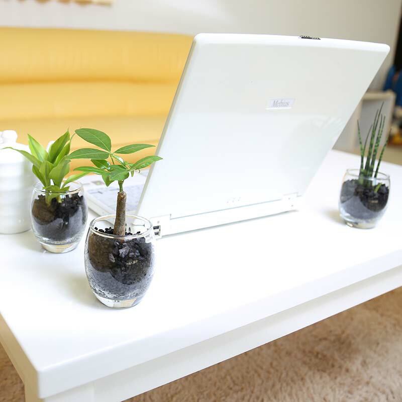 楽天市場 ミニ観葉植物 Eco 炭植え ガラス容器 3鉢セット ブルーミングスケープ