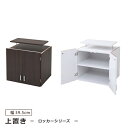 ロッカータンス専用 上置き 棚 ラック 単品 幅60 天井 つっぱり 収納 シンプル