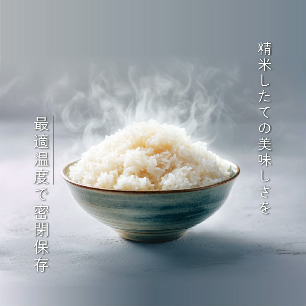 【 1年保証 】 SaiEL 保冷米びつ ライスクーラー 米冷蔵庫 米保存容器 10kg / 20kg / 30kg スリム おしゃれ 保冷ライスストッカー 1合計量 鮮度保持 酸化防止 防虫対策 鮮度保持 静音 省エネ 大容量 オシャレ 高級感 日数計算付き 米保存容器 キッチン収納 コンパクト 白米