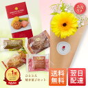 ひととえ 焼き菓子 花 セット ギフトセット マドレーヌ クッキー フィナンシェ ギフト プチギフト プレゼント スイーツ お菓子 送料無料 あす楽 土日発送OK お祝 お歳暮 お歳暮ギフト バースデー フラワー お花 生花 花束 誕生日 結婚記念日 女性 母 妻 内祝い お供え 仏花