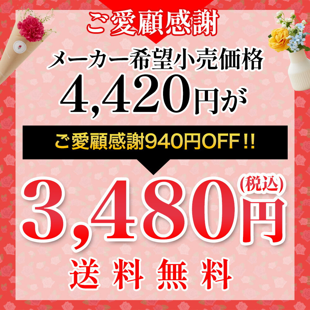 母の日 プレゼント そのまま飾れるブーケ Sサイズ 花 花束 ギフト 母の日ギフト 母の日プレゼント ははの日 オシャレ 実用 あす楽 誕生日プレゼント 母の日 送料無料 土日OK ブルーミー バラ 花瓶・水いらず スタンディングブーケ プチギフト