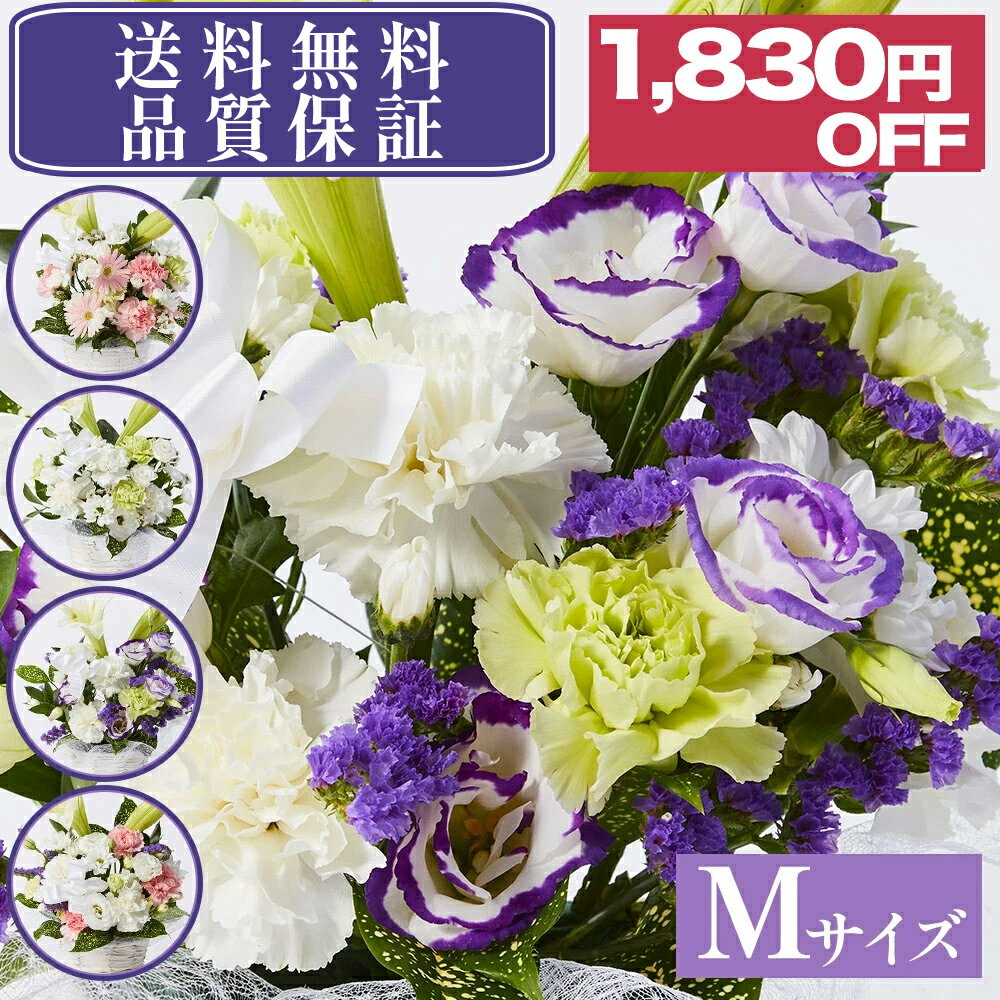 【メーカー希望小売価格6,110円→4,28