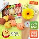 花とクッキーのセット 母の日 ははの日 銀座千疋屋 フルーツクッキー お花 花とお菓子 花とお菓子 ギフト 母の日ギフト 母の日プレゼント 花とスイーツ 花 誕生日プレゼント スイーツ 土日発送OK お祝い お祝 御祝い バースデー 誕生日 記念日 バレンタインデー 恋人 引き菓子