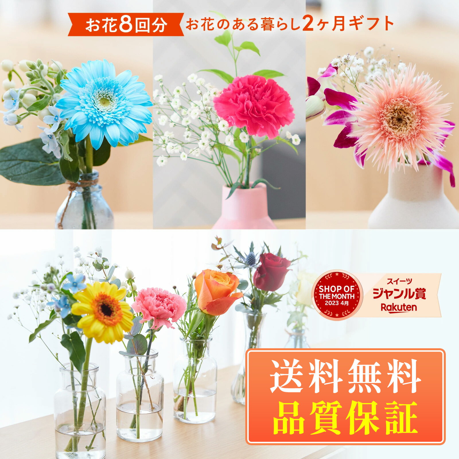 お花ある暮らし2ヶ月分、お花8回お届け ミニブーケ ブーケ 花 花瓶 ギフト 送料無料 ホワイトデー 孫 プレゼント 60代 70代 米寿 古希 内祝い プチギフト 誕生日プレゼント 誕生日 フラワー 花束 生花 女性 母親 お祝い お彼岸 お供え お菓子 仏花