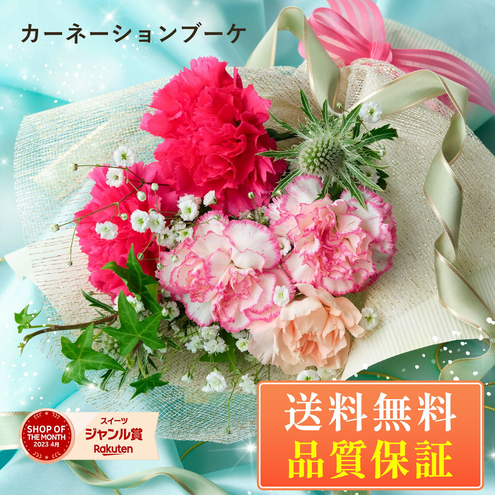 カーネーション プレゼント ギフト 花 お花 カーネ カーネーション 豪華 ブーケ 送料無料 花束 生花 誕生日 記念日 バレンタインデー　ホワイトデー お祝い おしゃれ 可愛い 素敵 ちょっとしたプレゼント ブルーミー 母の日 仏花