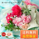 プレゼント ギフト 花 お花 カーネ カーネーション 豪華 ブーケ 送料無料 花束 生花 誕生日 記念日 バレンタインデー　ホワイトデー お祝い おしゃれ 可愛い 素敵 ちょっとしたプレゼント ブルーミー 母の日 仏花