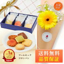 母の日 【2,980円→2,880円】 コロンバン フールセック 花 お花届くカード ギフトセット チョコ 花とお菓子 花とお菓子 ギフト 母の日ギフト 母の日プレゼント お菓子 花とスイーツ 花 誕生日プレゼント スイーツ 土日発送OK お祝い バレンタインデー