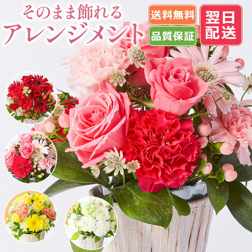 あす楽 13時まで そのまま飾れるアレンジメント M S XSサイズ 送料無料 アレンジ メッセージカード オシャレ クリスマス お正月 実用 誕生日プレゼント バラ プチギフト 誕生日 フラワー 花束 生花 お祝い フラワーギフト 花 おばあちゃん