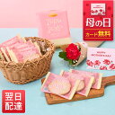 まだ間に合う! 花とスイーツ 東京ラスクシュガーラスク お花 花とお菓子 メッセージカード オシャレ 実用 ギフト お菓子 洋菓子 食品 花 誕生日プレゼント ...