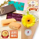 【最短 翌日配送】 銀座千疋屋レーズンサンド お花 花とお菓子 プレゼント お菓子 花とスイーツ 花 誕生日プレゼント プレゼント スイーツ 土日発送OK お祝い お祝 御祝い バースデー 誕生日 記念日 恋人 引き菓子 母の日 プレゼント ギフト 50代 60代 70代 送料無料