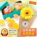 【最短 翌日配送】 千疋屋 フルーツゼリー お花 花とお菓子 プレゼント お菓子 花とスイーツ 花 誕生日プレゼント プレゼント スイーツ 土日発送OK お祝い お祝 御祝い バースデー 誕生日 記念日 恋人 引き菓子 母の日 プレゼント ギフト 50代 60代 70代 送料無料