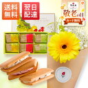 【最短 翌日配送】銀座千疋屋フルーツサンド メッセージカード お花 花とお菓子 プレゼント お菓子 花とスイーツ 花 誕生日プレゼント プレゼント スイーツ 土...