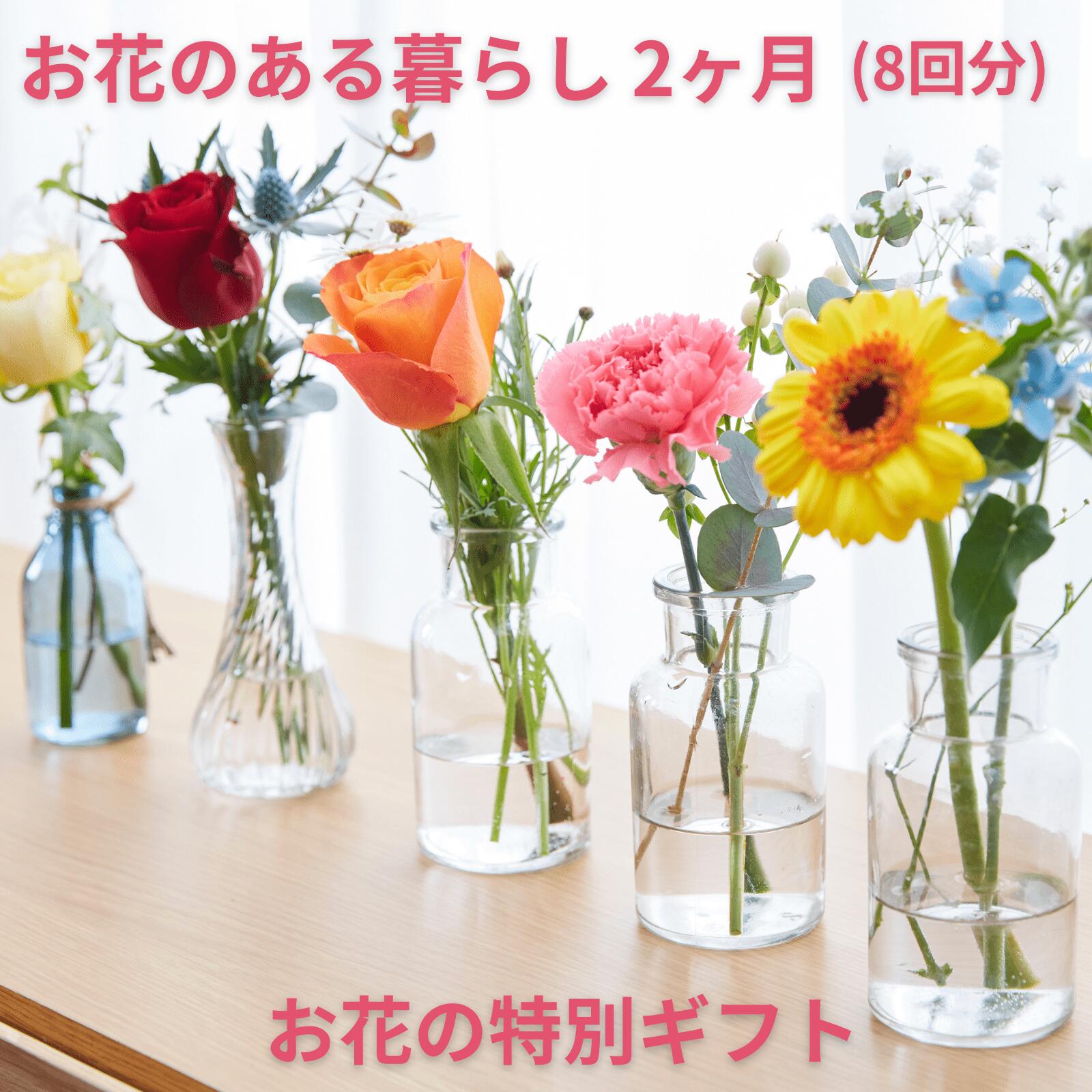 ＼ 早割 ／ あす楽 プレゼント クーポン お花ある暮らし2ヶ月分、お花8回お届け ギフト 季節のおまかせ スモール ミニブーケ 送料無料 花束 生花 誕生日 記念日 父の日 お祝い ブルーミーのサムネイル