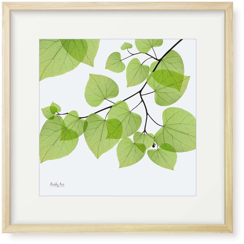 絵画「葉のひろがり」インテリア 絵 花 アートパネル 額入り作者：Mitchy X線レントゲンの特殊な効果を用いて描く手法は、繊細美なディテールとスタイリッシュな描写で独特の世界観を表現。科学と芸術の融合かつ神秘的で不思議な質感は、空間と人をやさしく包みこみます。作品名: 葉のひろがり　サイズ: 縦32cm x 横32cm(額の外枠) 額の色：無垢　額の材質：木製（無垢材）木製の額縁は、シンプルでとても自然。絵と一体となり、優しく包みこみます。額のおもて面は、軽くて割れないアクリル板を使用しています。ガラス以上に透明度が高く、室内紫外線を90%程度カットし大切な絵を保護します。また、軽量なので女性でも設置が簡単。アートの深みを表現する素材のキャンバス紙を使用。絵画用キャンバス紙なので、重厚でありながら柔らかでしなやかな風合いです。