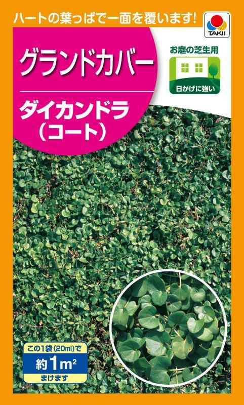 タキイ種苗 緑肥・景観用 ダイカンドラ（コート）