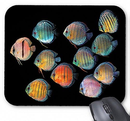 ワイルド・ディスカスのマウスパッド：フォトパッド（ 世界の熱帯魚シリーズ ）