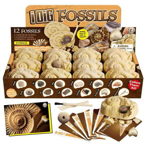 XXTOYS 化石発掘キット 化石標本 化石 発掘 キット 天然化石 発掘セット 発掘おもちゃ 12個セット 古生物学 子供 プレゼント ギフト