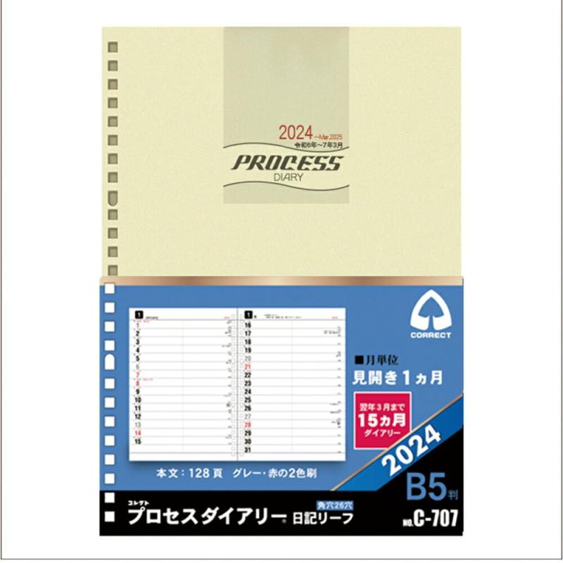 システム手帳用リフィル 日記リーフ プロセスダイアリー 15ヵ月ダイアリー 見開き1ヶ月 224年1月～226年3月