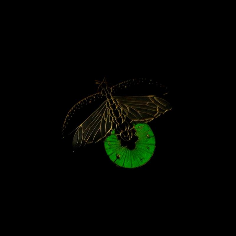 ブローチ レディース 夜光 甲虫 昆虫 モチーフ エナメル 蛍光 個性的 かわいい 電...
