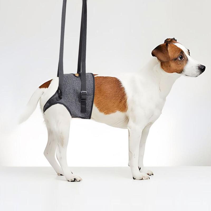 ハーネス 犬用 後ろ足サポート 歩行補助 老犬 介護 リハビリ 怪我 通気性 調節可能 ペット用品