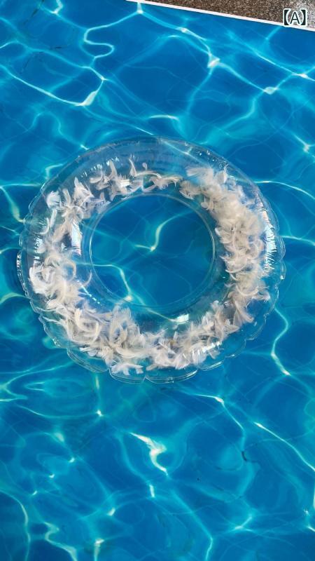 浮き輪 子供 レディース 透明 羽毛入り 厚手 丈夫 かわいい プール ビーチ 海水浴 ...