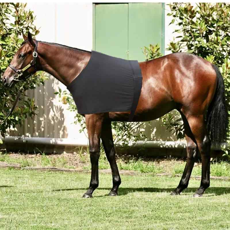 馬着 馬用インナーベスト 通気性 擦れ防止 胸部保護 馬用ベスト 馬用プロテクター 馬具 乗馬用品