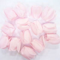 �ե��ڥ���Х֥�Х� �ץ��������֥��������ȥ�������6�ĥ��å�